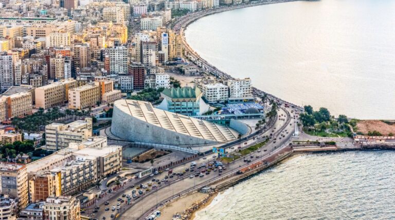 ابادة حشرات الاسكندرية