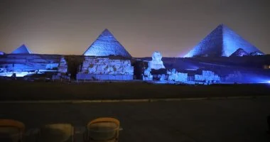 ابداة حشرات بالجيزة